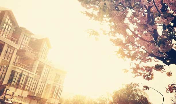 Sunny picture of our street