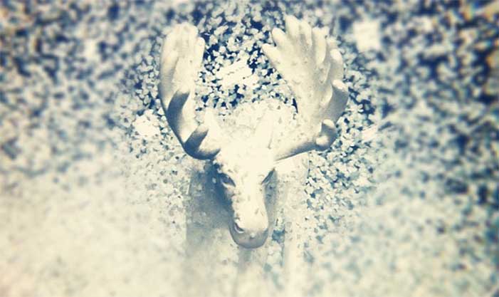 Moose in a snow globe