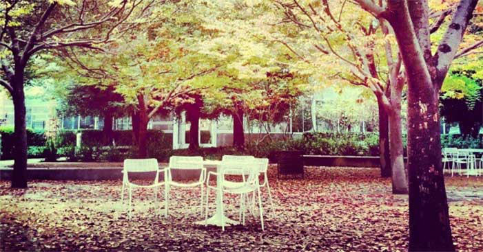 Empty table in the Fall