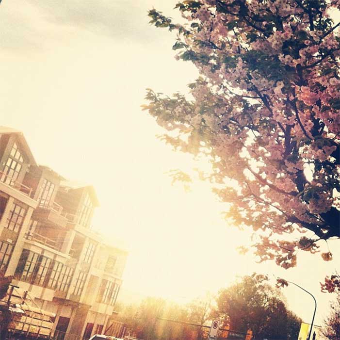 spring Spring in Vancouver